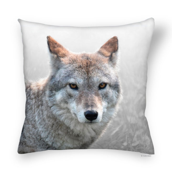 Cushion Cover | Coyote - Colors