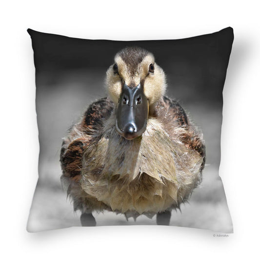 Housse de coussin | Canard - Couleurs
