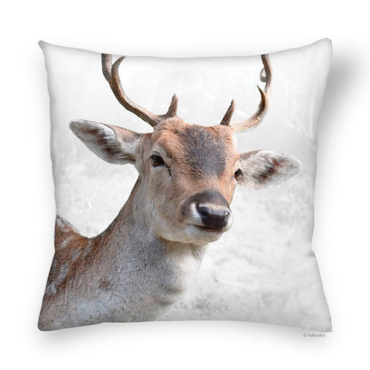 Cushion Cover | Deer with a Sweet Eye - Colors