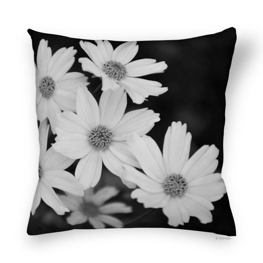 Cushion cover | Coreopsis - Black and white